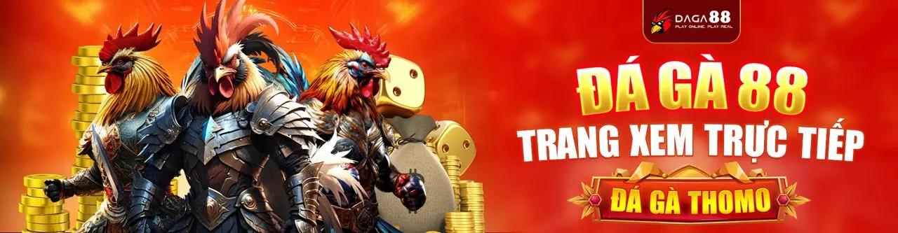 Tin tức mới nhất từ 88day trang chủ chính thức