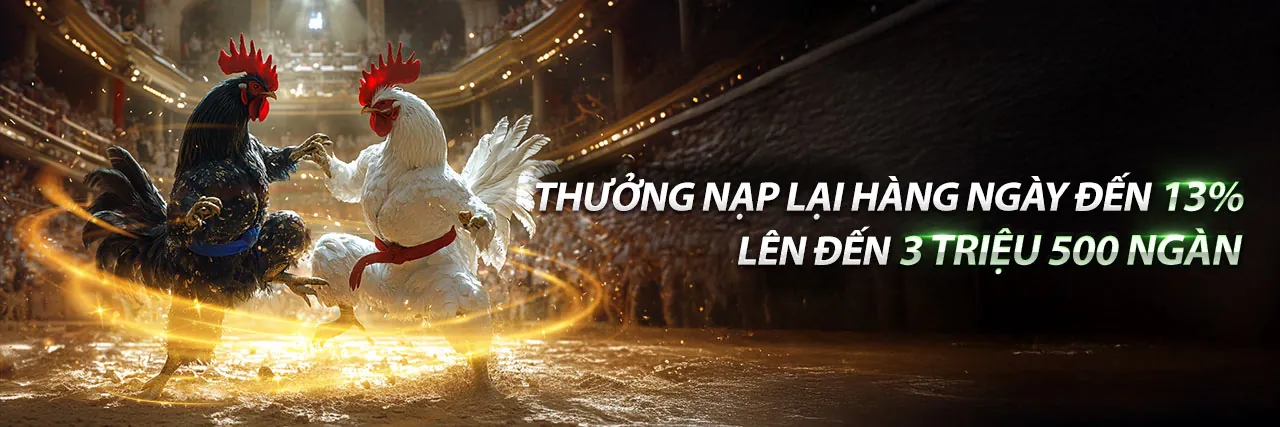 Sân vận động với ánh đèn rực rỡ và các môn thể thao đa dạng tại 88day