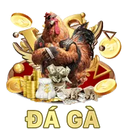 Quản lý tài khoản và đào tạo 88day